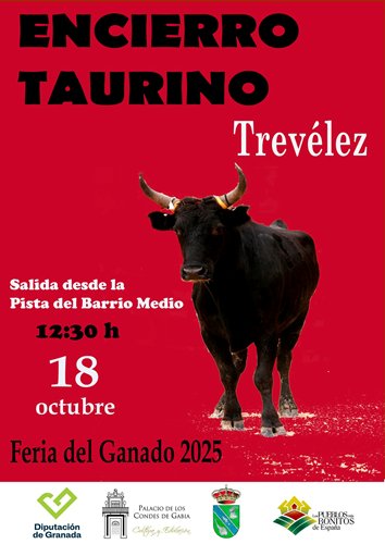 12:30 ENCIERRO TAURINO. Desde la Pista del Barrio Medio a la Plaza de Toros