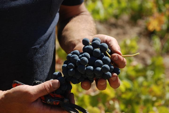 Bodegas García de Verdevique (Cástaras - Granada)