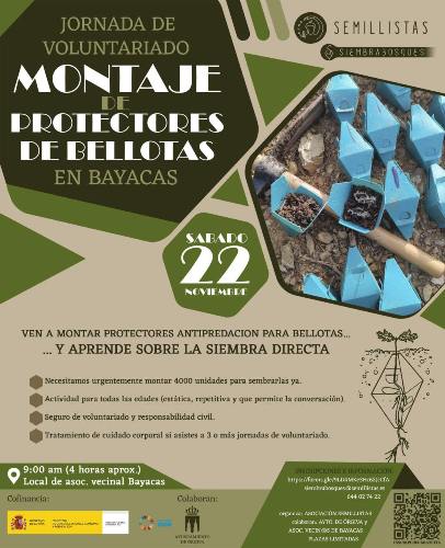 Montaje de protectores de bellotas